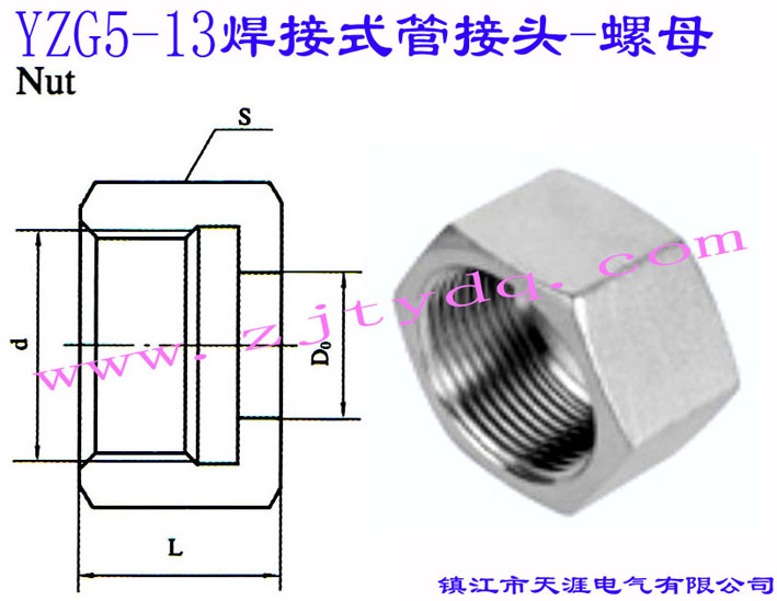 YZG5-13 焊接式管接頭-螺母Nut